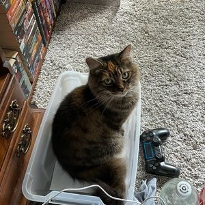 Meet your Posher, Emery